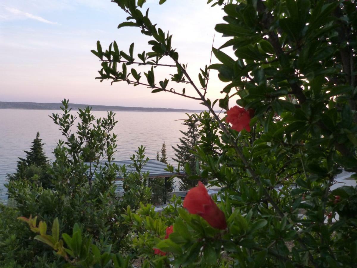 Maria Apartments Starigrad Paklenica Eksteriør bilde